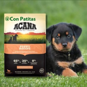 Acana Cachorros Perros Todas las Razas Grain Free