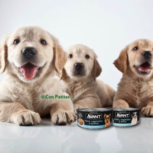 Avant Lata Húmeda Cachorros