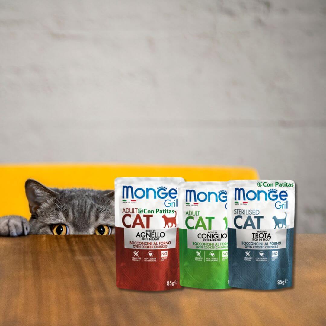 Monge Alimentos Húmedos Super Premium para Gatos - Imagen 2