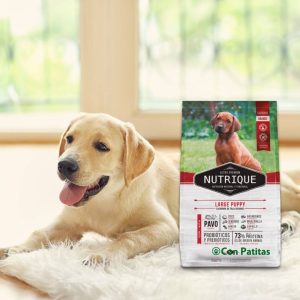 Nutrique cachorro raza grande