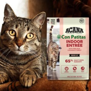 Acana Indoor Gatos Adultos de Pavo y Pollo Para Interiores