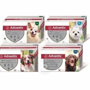 Advantix 24 pipetas antiparasitarias para perro. Advantix solución Spot-On para perros de 1,5kg a 40kg.