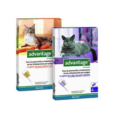 Advantage gato 4 pipetas antiparasitarias - Imagen 2