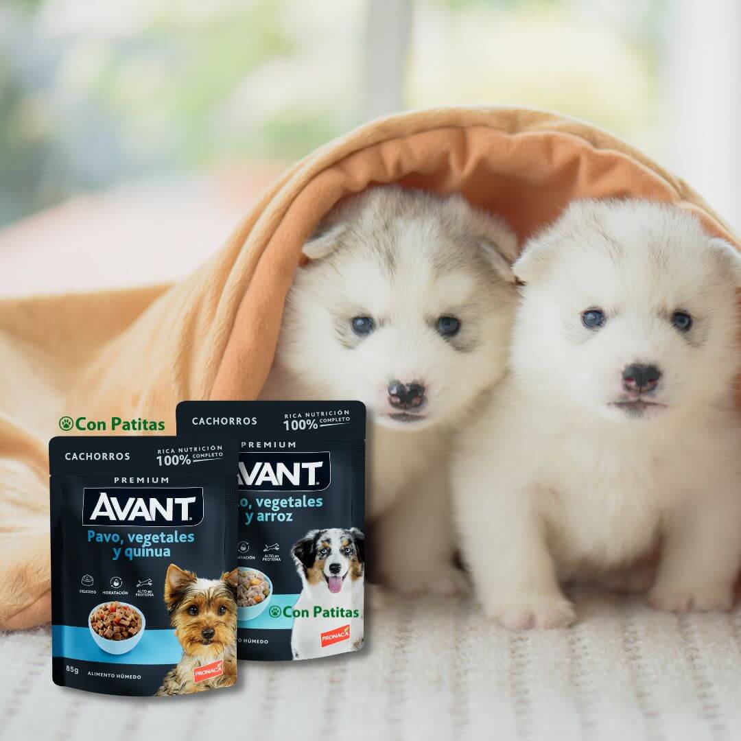 Avant Pouch Húmedo Cachorros 85g - Imagen 2