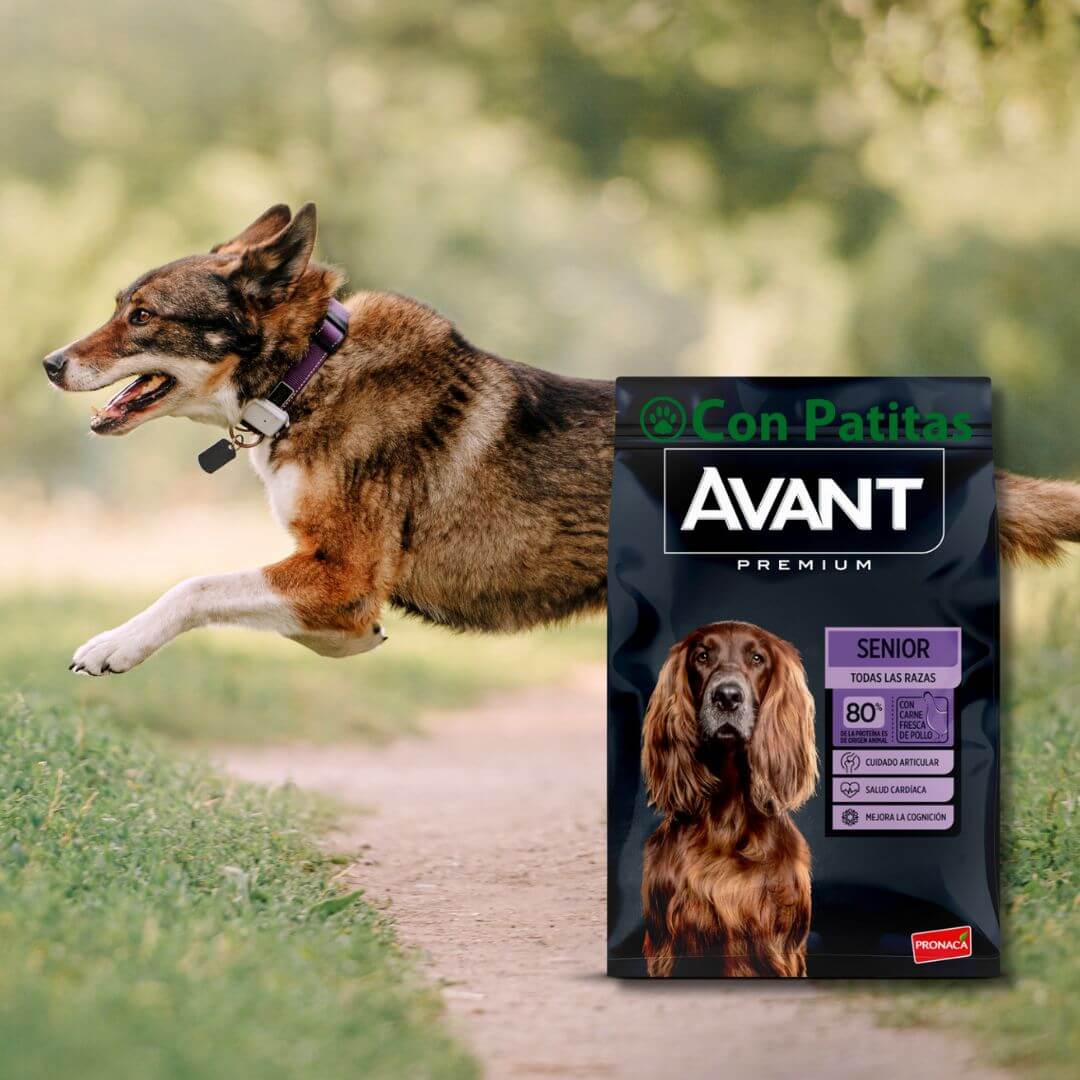 Avant Senior Para Perros Mayores Con Carne Fresca de Pollo