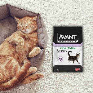 Avant Urinary Gatos