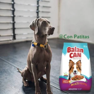 Balancan Adultos 30kg Perros