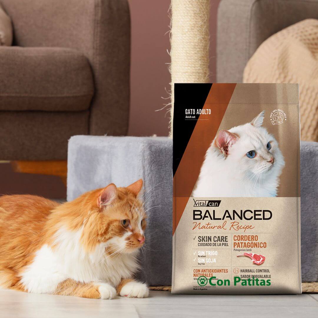 Balanced Gatos Cordero Monoproteico Natural Super Premium - Imagen 2