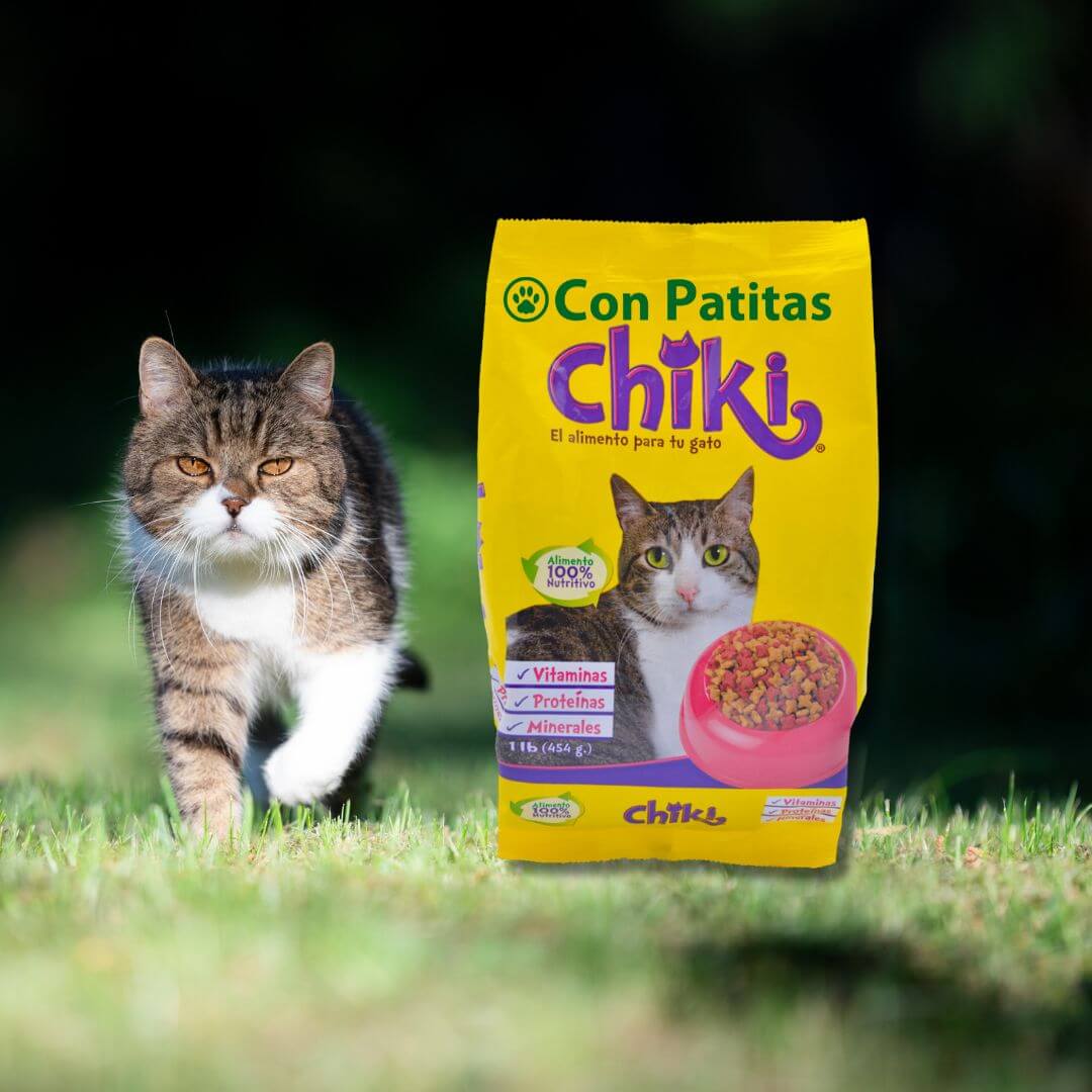 Chiki Gatos Adultos