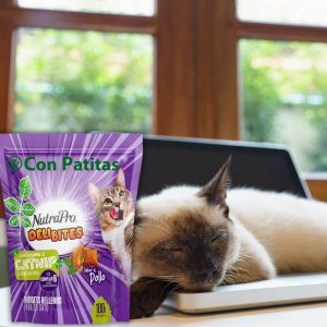Delibites Gatos Catnip Snack Funcional calmante para Gato
