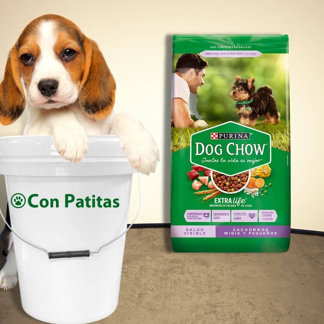 Dog Chow cachorro raza pequeña - Imagen 2