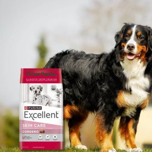 Excellent Cordero Adultos