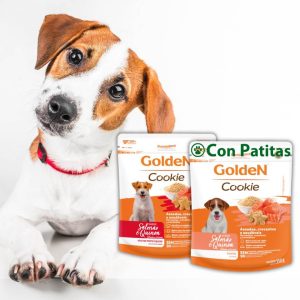 Golden Galletas Snack Salmón y Quinoa Naturales