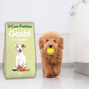 Gosbi Exclusive Cordero Mini Adult