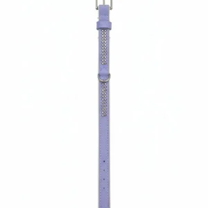 Collar Ferribiella Piel con Brillantes Lila y Blanco 19mm x 36cm