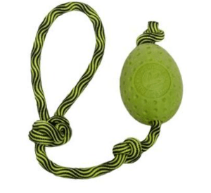 Kiwi Pelota para Perros Walker Egg con cuerda