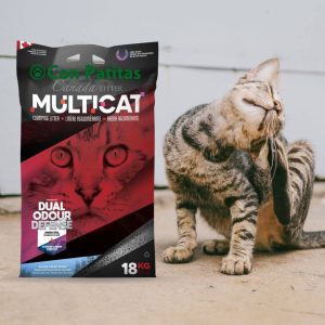 Canada Litter Multicat Arena de Gato High Premium