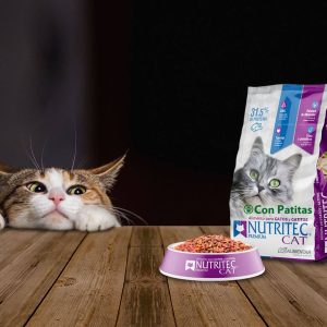 Nutritec Gatos y Gatitos