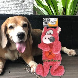 Juguete para Perros Oso Dispensador Con Sonido Peluche Interactivo