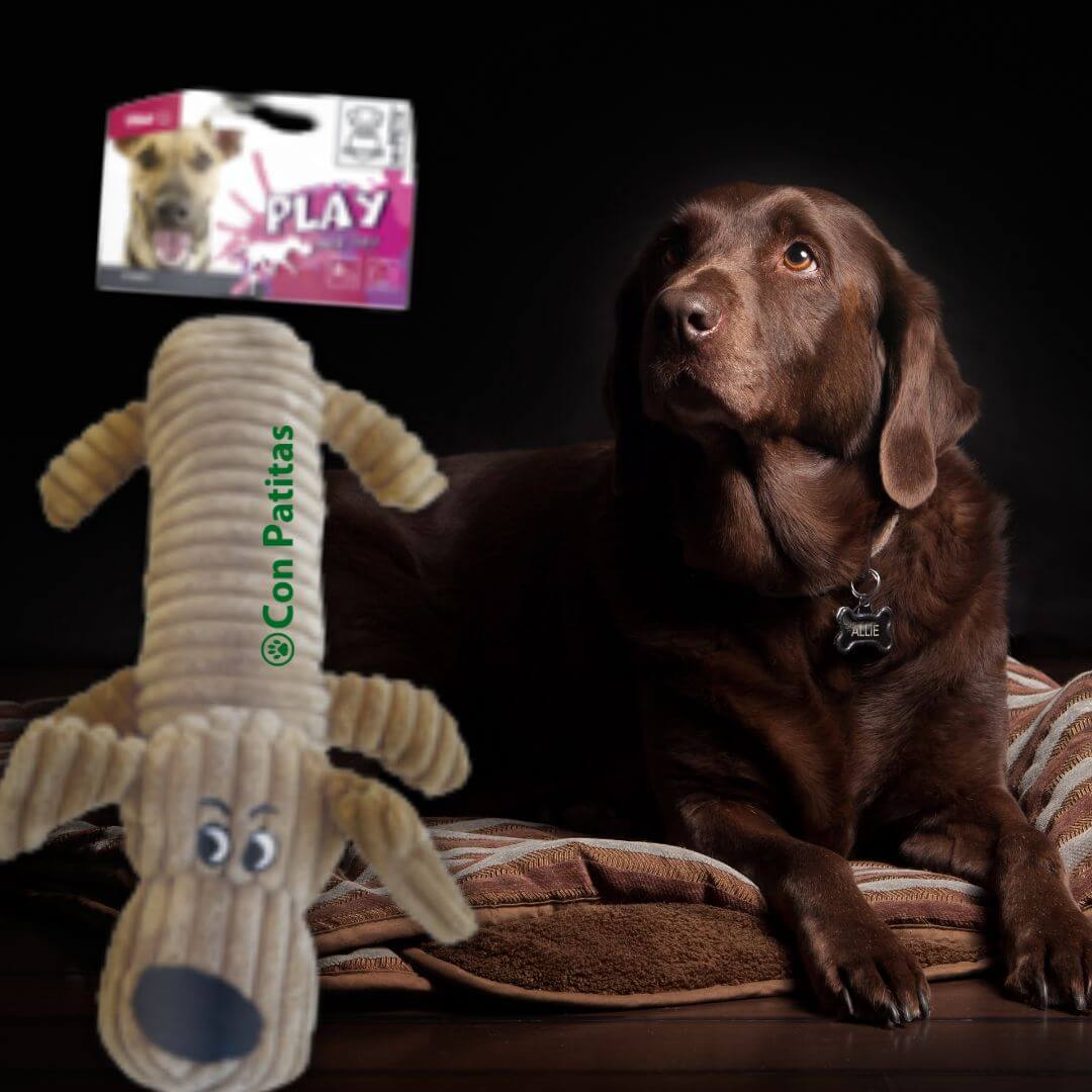 Peluche Grande Perrito para Perros con Sonido (Squeaker) Juguete - Imagen 2