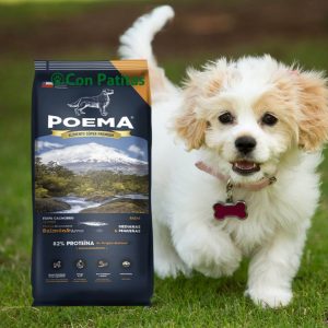 Poema Perros Cachorros Hipoalergénico Salmón Hidrolizado