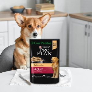 Pro Plan Húmedo Perros Pollo en Salsa Adultos 100g