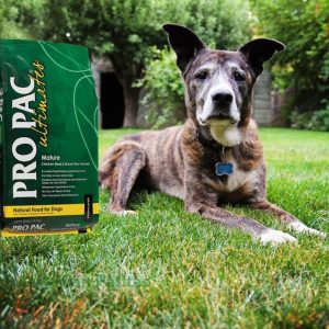 Pro Pac Mature Chiken & Brown Rice Whole Grain
