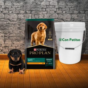 Pro Plan cachorro raza mediana a grande