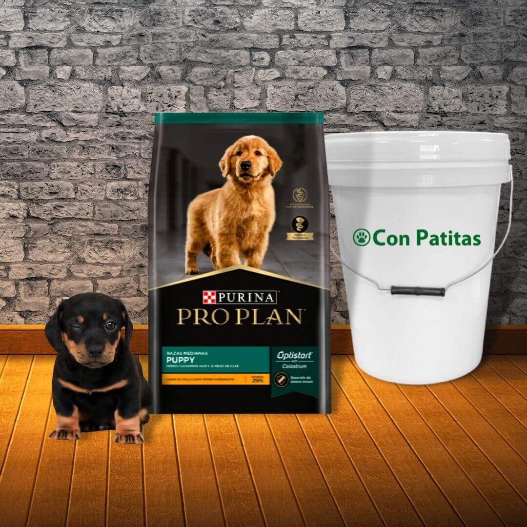 Pro Plan cachorro raza mediana a grande