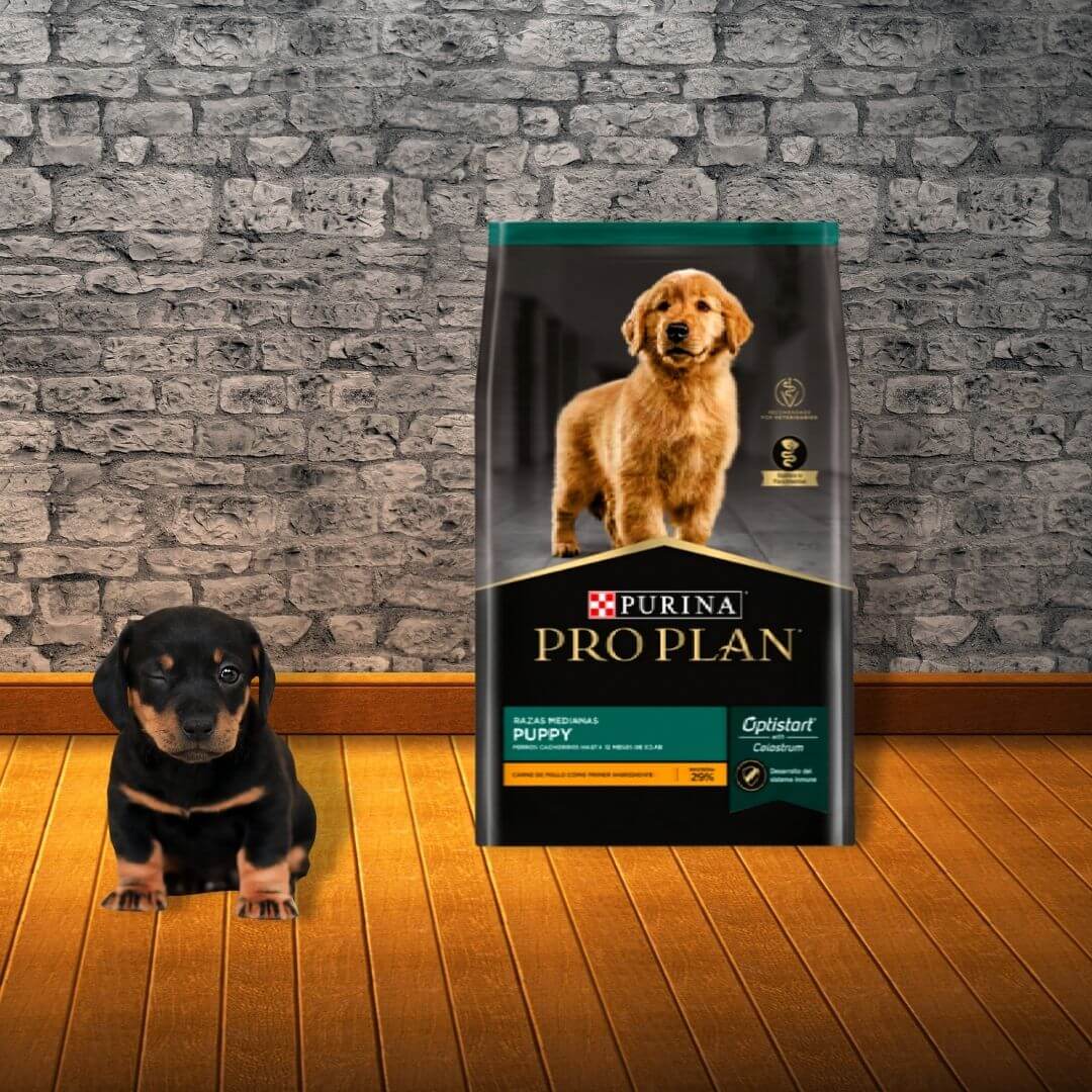 Pro Plan cachorro raza mediana a grande - Imagen 3