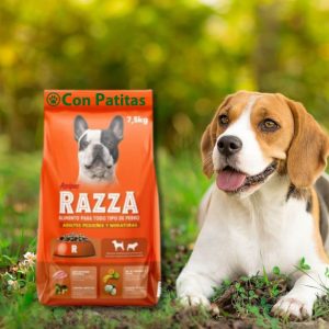 Razza Adultos Perros Pequeños y Mini