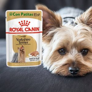 Royal Canin Yorkshire Terrier Pouch Húmedo Super Premium