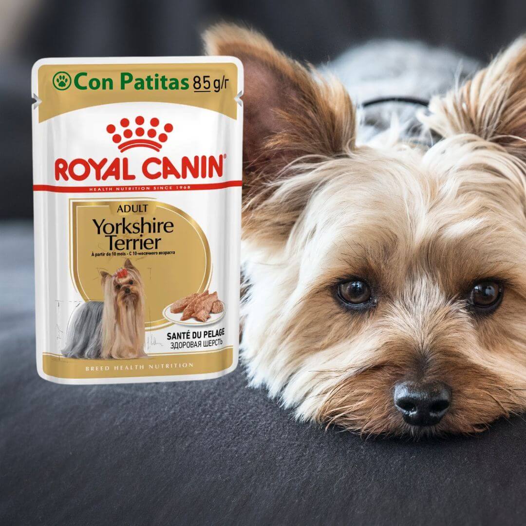 Royal Canin Yorkshire Terrier Pouch Húmedo Super Premium