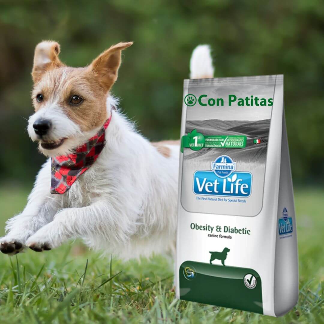 Vetlife Diabético y Obesidad Para Perros Toda Raza