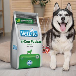 Vetlife Renal Para Perros Dieta Veterinaria Soporte Renal