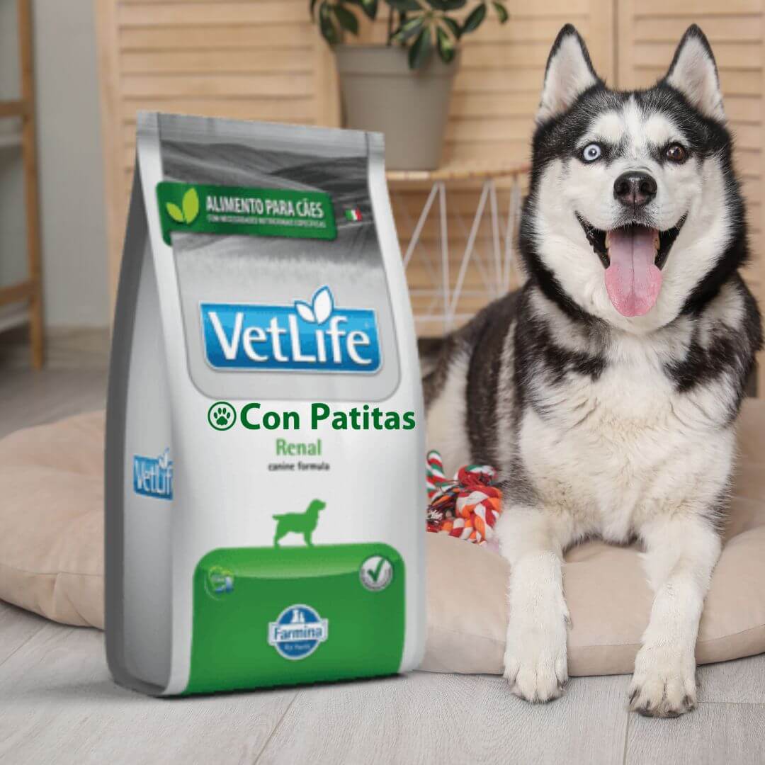 Vetlife Renal Para Perros Dieta Veterinaria Soporte Renal
