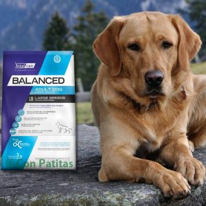 Vital Can Balanced Adulto Raza Grande