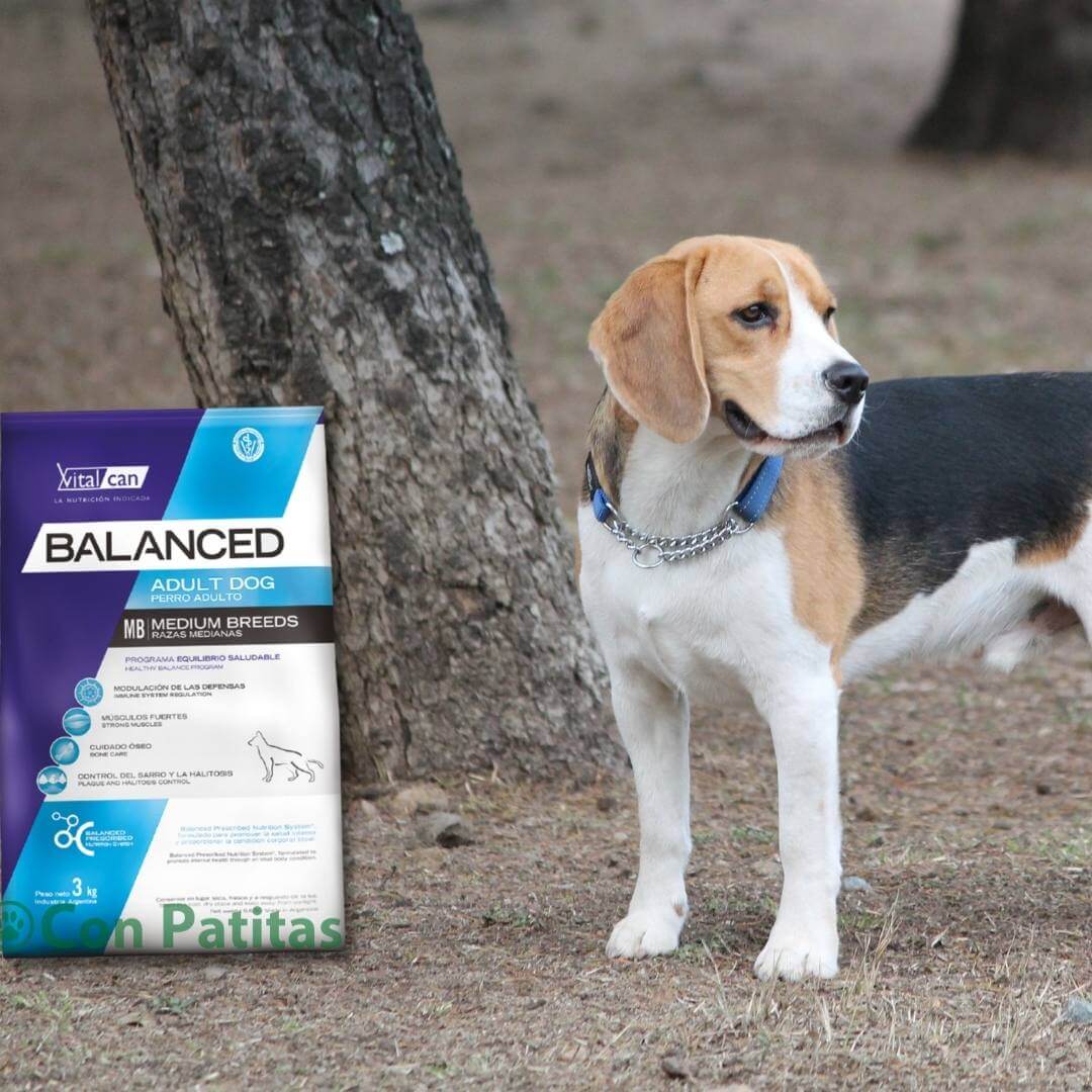 Vital Can Balanced Adulto Raza Mediana