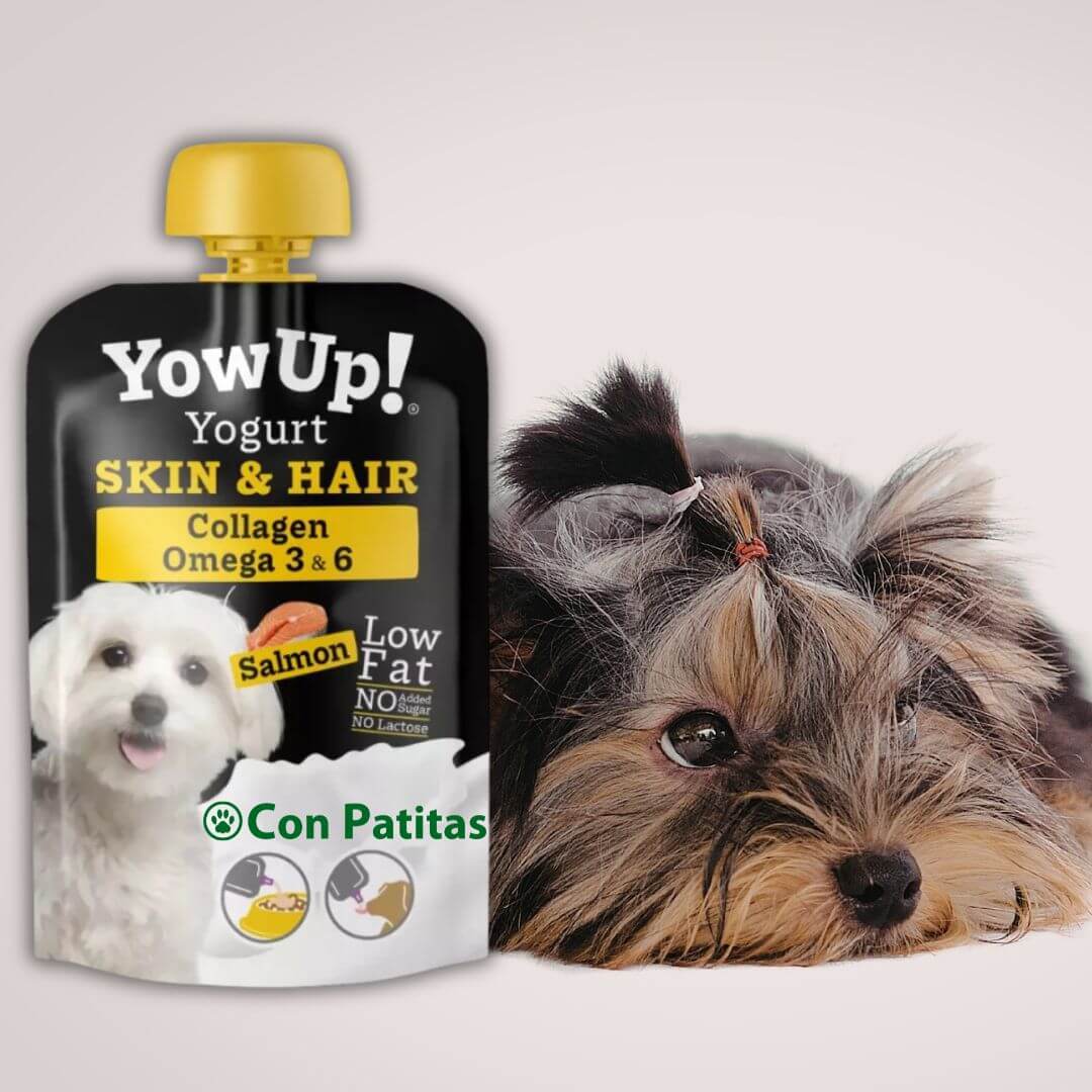 Yow Up Yogurt Salmón Perros Piel y Pelaje Snack con Omega 3 y 6