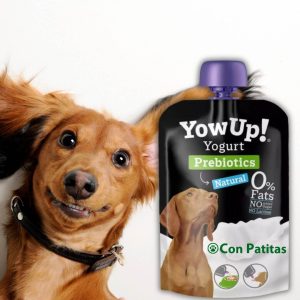 Yow Up Yogurt Prebióticos Perros Salud Gastro Apoyo Digestión