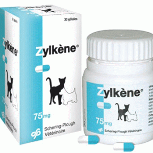 Zylkene tranquilizante perros y gatos
